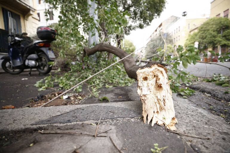Tromba d’aria nell’area flegrea fa cadere numerosi alberi