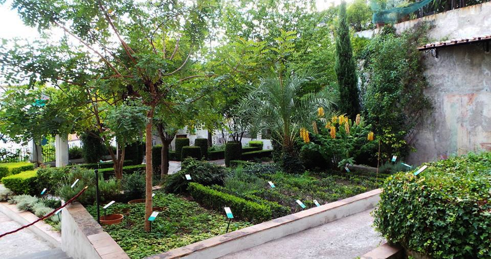 Il Giardino della Minerva si arricchisce di altre 500 piante terapeutiche