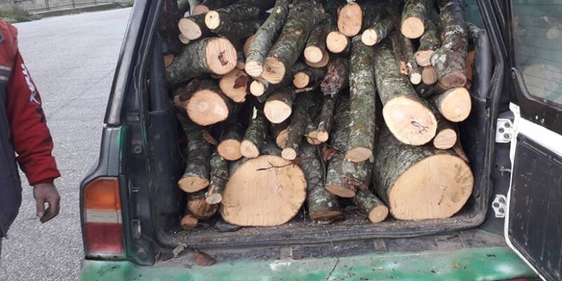 arrestato 61enne sannita per furto di legna al parco regionale del matese