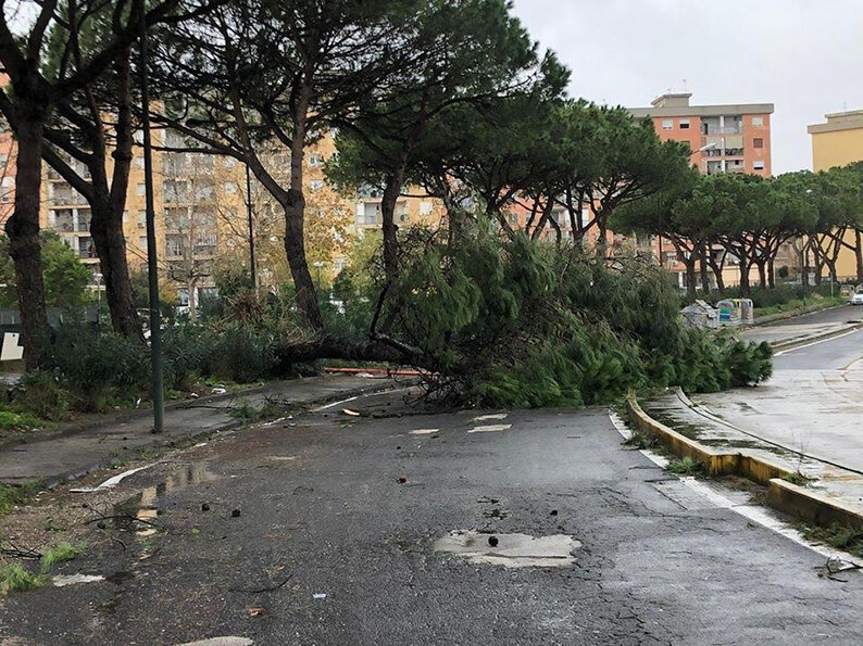 Crollo alberi a Pianura e Soccavo, la Municipalità: ‘Noi lasciati soli dal Comune’