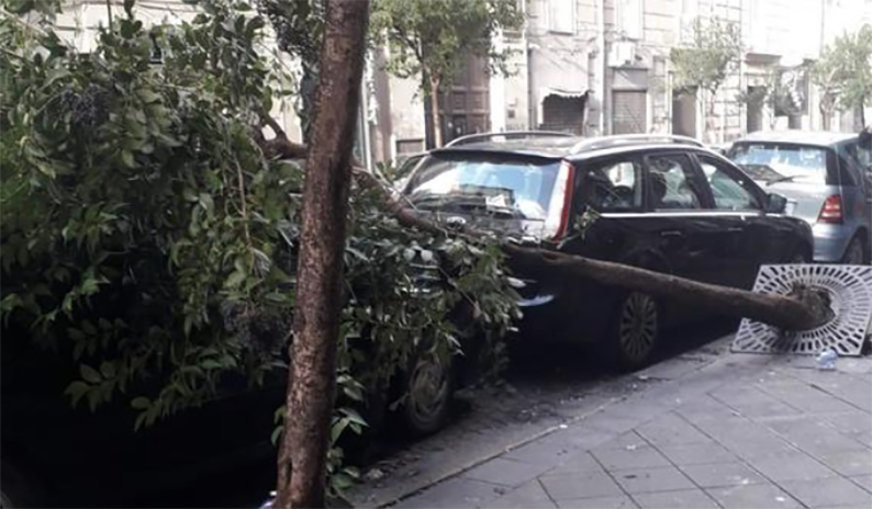 Napoli, schiacciato da un albero: muore commerciante migrante regolare in via Nuova Agnano