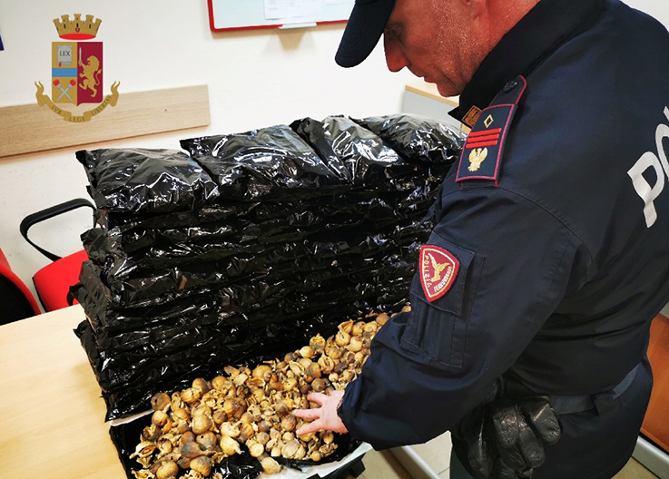 Nascondeva nel bagaglio 6 chili di capsule di papavero da oppio: corriere della droga arrestato alla stazione di Napoli