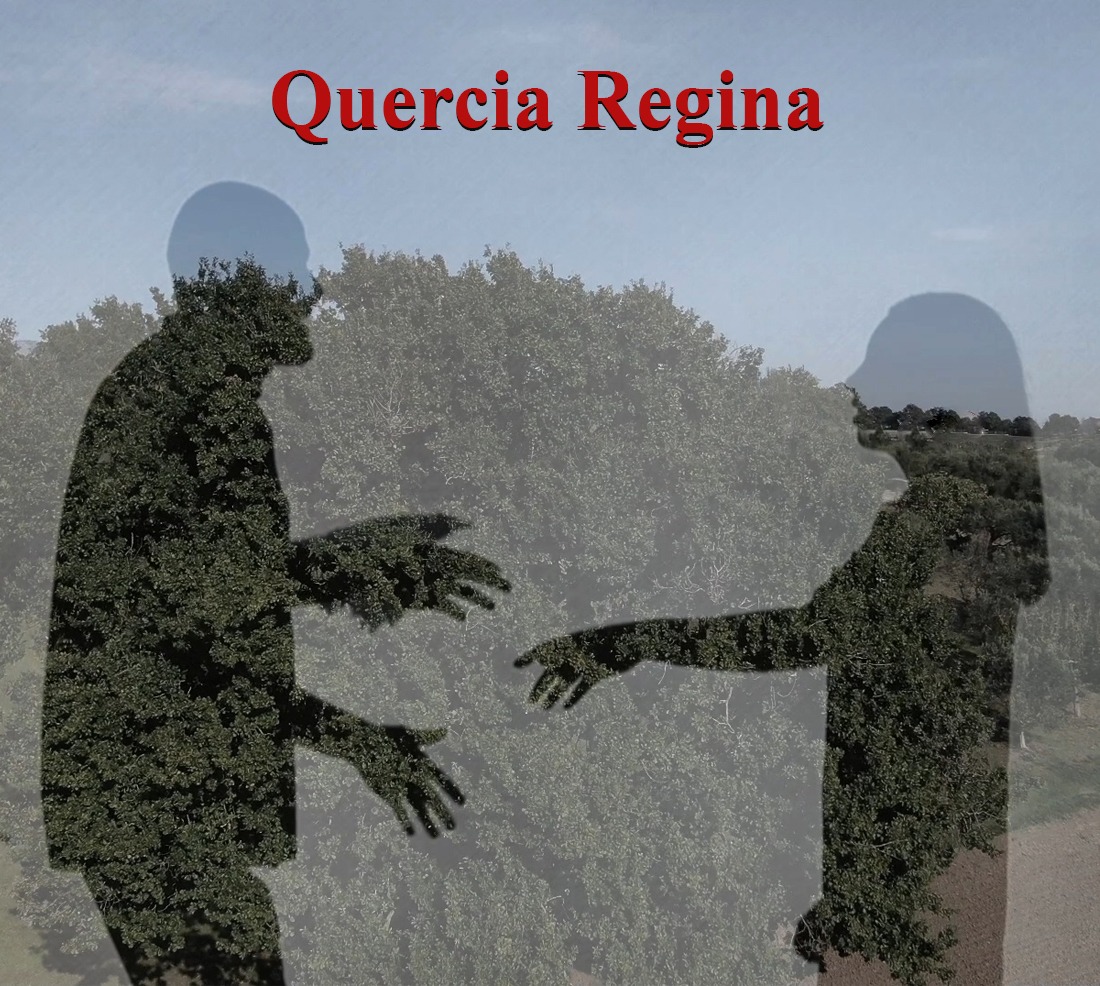 Quercia Regina, il videoclip di Giovanni Sorvillo & Tiempo Antico con la partecipazione di Peppe Lanzetta