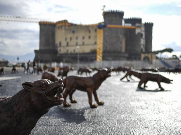 Vandali a Napoli spostano i lupi dell’ installazione di Rouwang