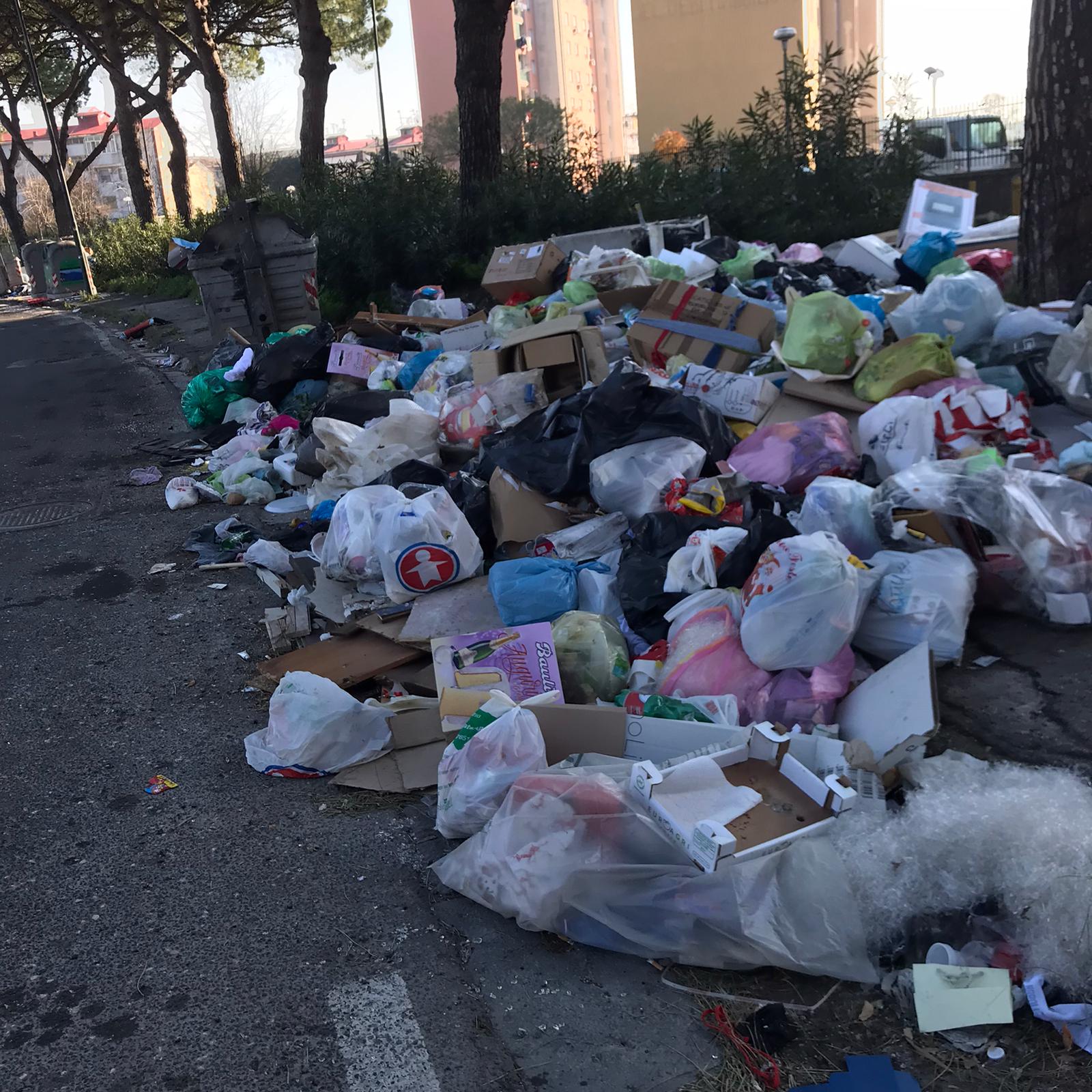 Napoli, emergenza rifiuti, l’assessore: ‘Se ci fanno scaricare i camion la città sarà pulita in 36 ore’