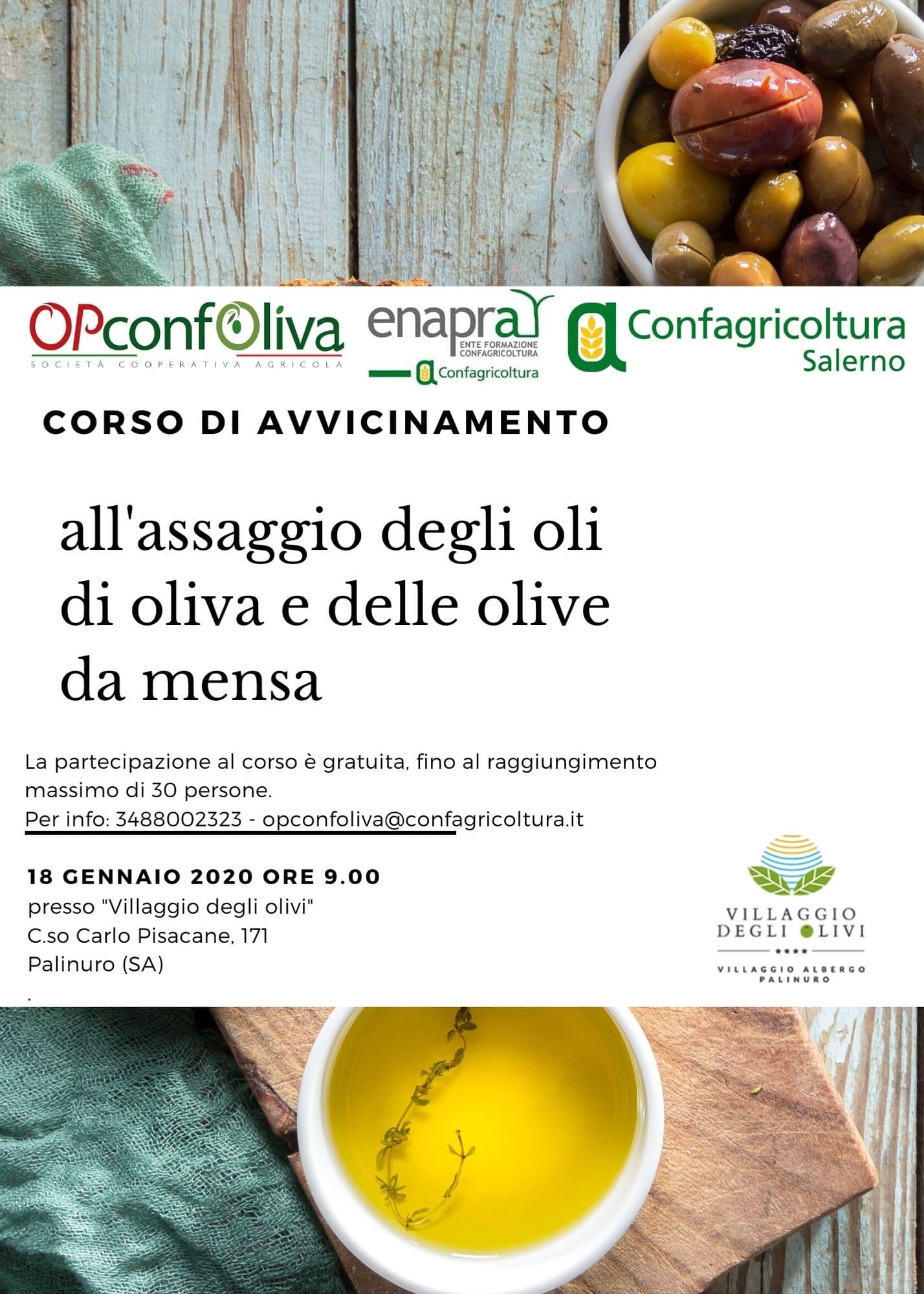 A Palinuro, un corso gratuito di Avvicinamento all’assaggio degli Oli da Olive e delle Olive da Mensa