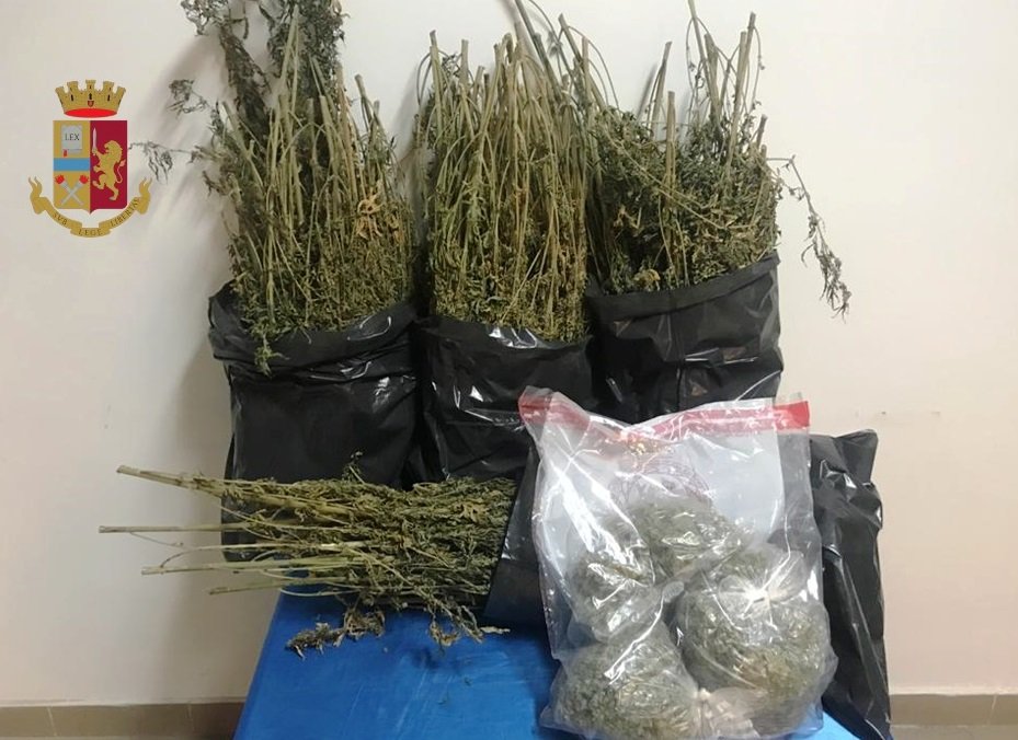 Napoli, la polizia scopre a Pianura una serra di marijuana: arrestato 49enne. IL VIDEO