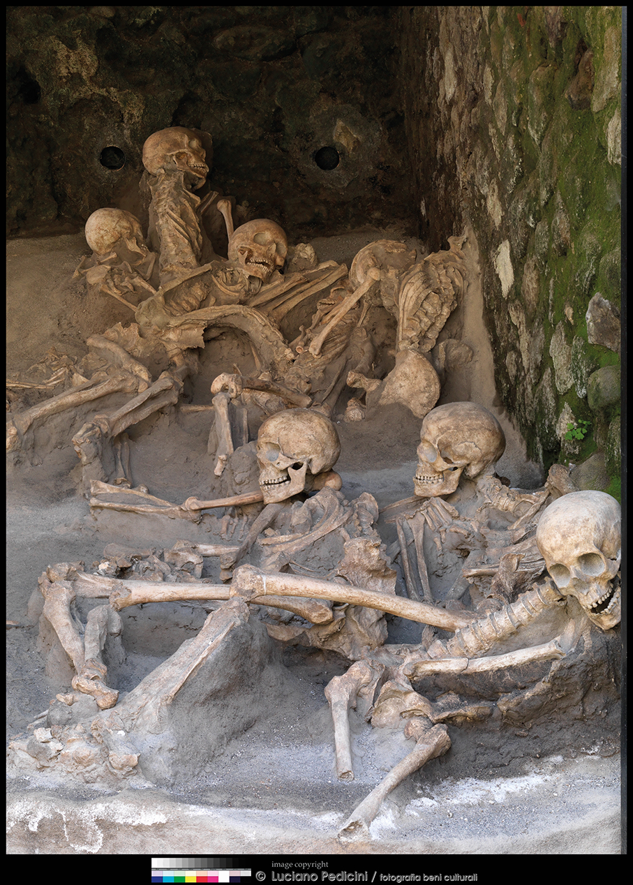 Nuova eccezionale scoperta ad Ercolano: rinvenuti i resti di cervello di una vittima dell’eruzione del 79 d.C.
