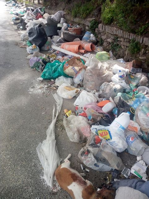 Napoli, cane senza vita ritrovato tra i rifiuti in via Montagna Spaccata. Borrelli: ‘Ci fa rabbrividire’