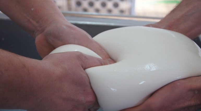 Frignano, dipendenti rubavano mozzarella dal caseificio: a processo