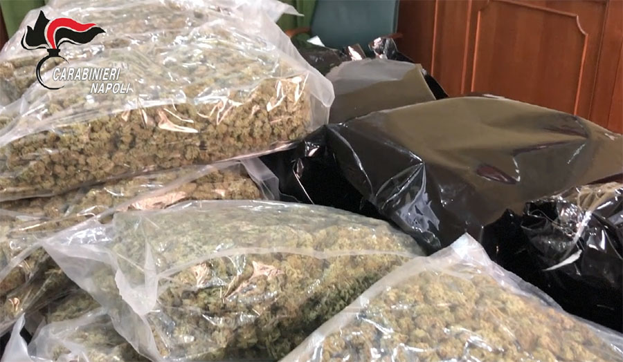 Sequestrati nel Casertano 23 chilogrammi tra hashish e marijuana