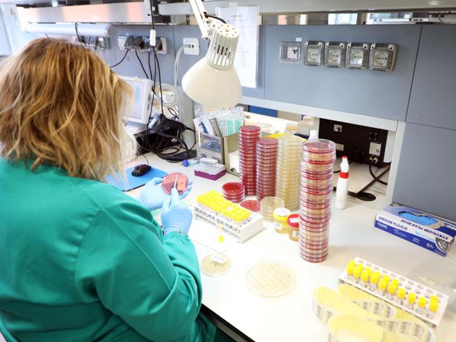 La Regione Campania: ‘I laboratori privati non possono effettuare i test sierologici’