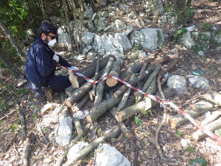 Sorpreso con la motosega nel bosco, sequestrati 40 quintali di legna stoccata in un’area di 150 mq