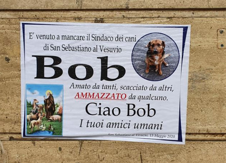 Manifesti a lutto per salutare Bob, il ‘sindaco’ dei cani di San Sebastiano morto investito