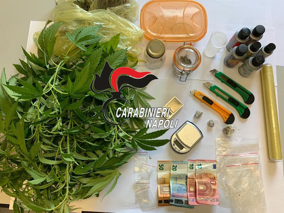 Pozzuoli, arrestato incensurato: aveva una pianta di cannabis in casa