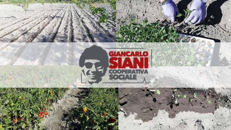 Ercolano. Scarcerazioni boss, Coop Siani: ‘Costruiamo entusiasmo e non paure, continueremo a promuovere legalità!’