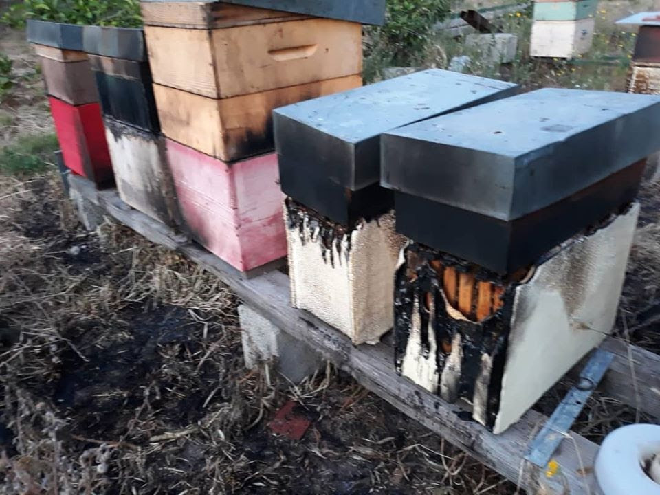 Raid incendiario in un’azienda di apicoltura ad Ercolano