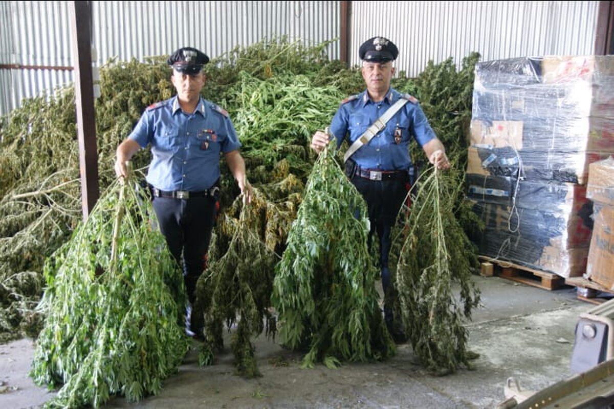droga sessa aurunca