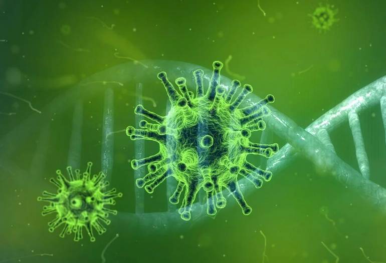 Scoperto coronavirus in Cina ‘vivo’ in alimenti congelati