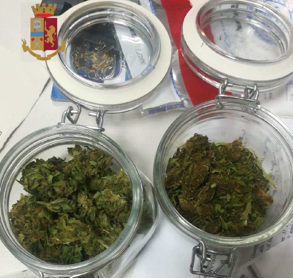 Massa Lubrense: coltiva pianta di marijuana in casa. Arrestato un 23enne