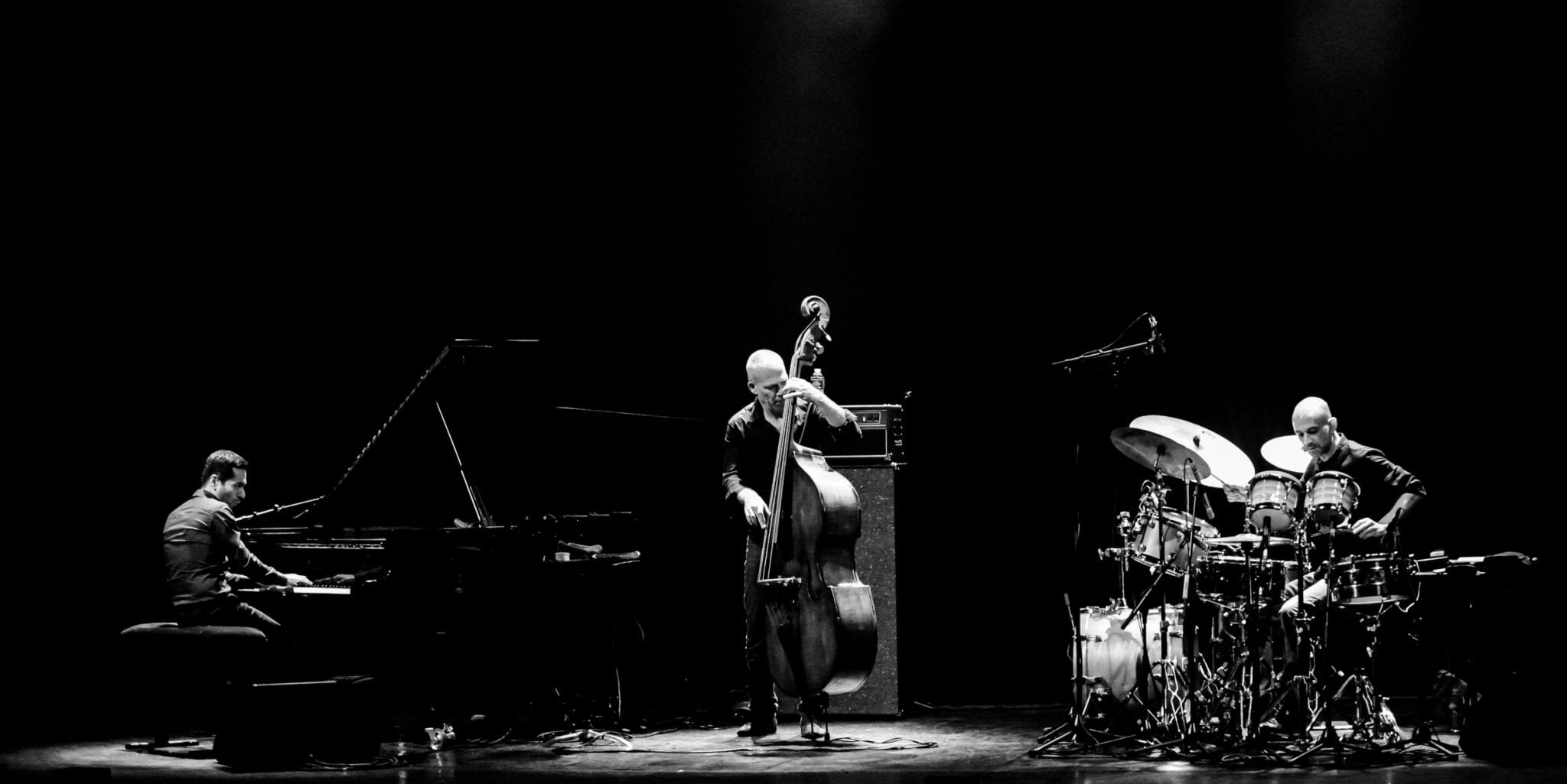 Avishai Cohen Trio