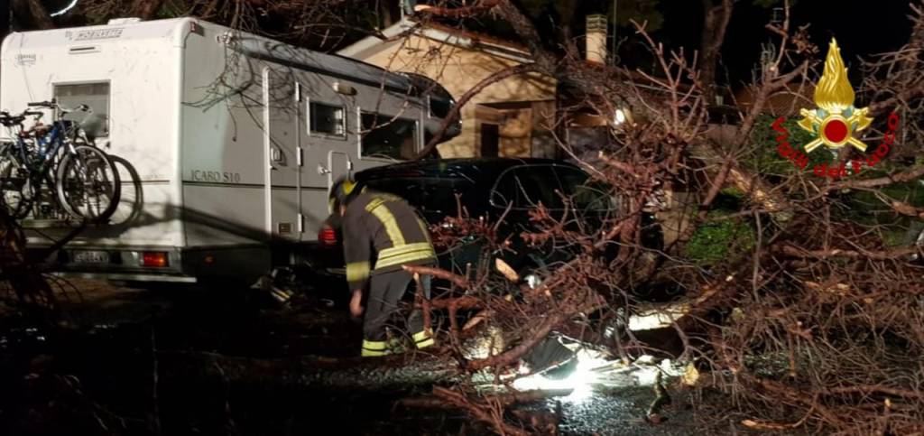 albero cade tenda campeggio