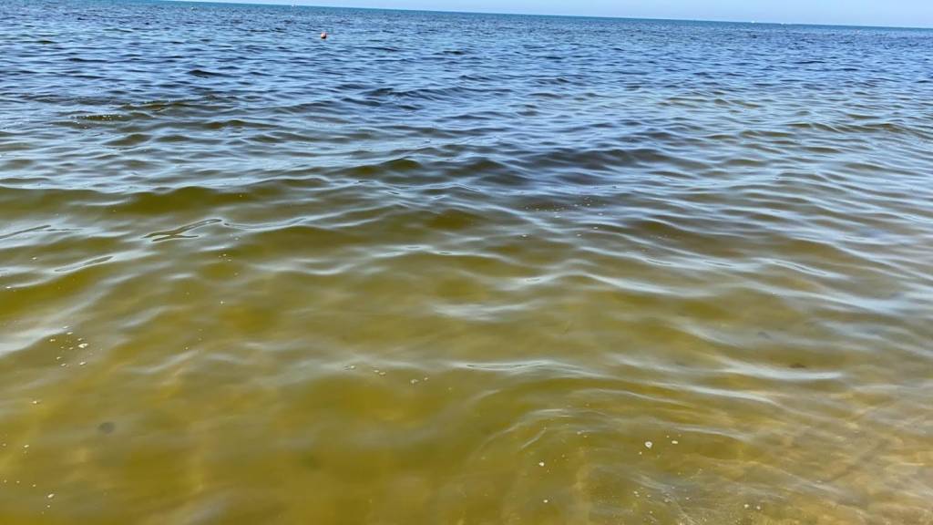 colorazione mare litorale domizio