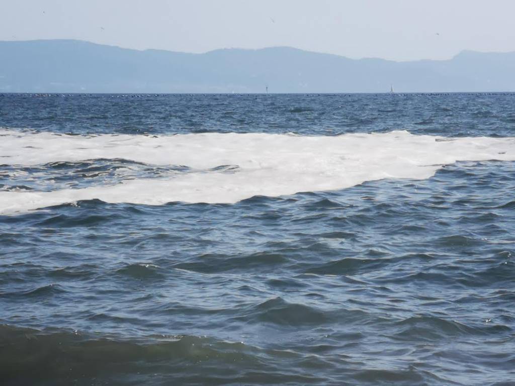 schiuma bianca ercolano