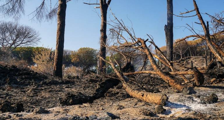 Incendi Vesuvio, vigilanza e telecamere contro i roghi estivi