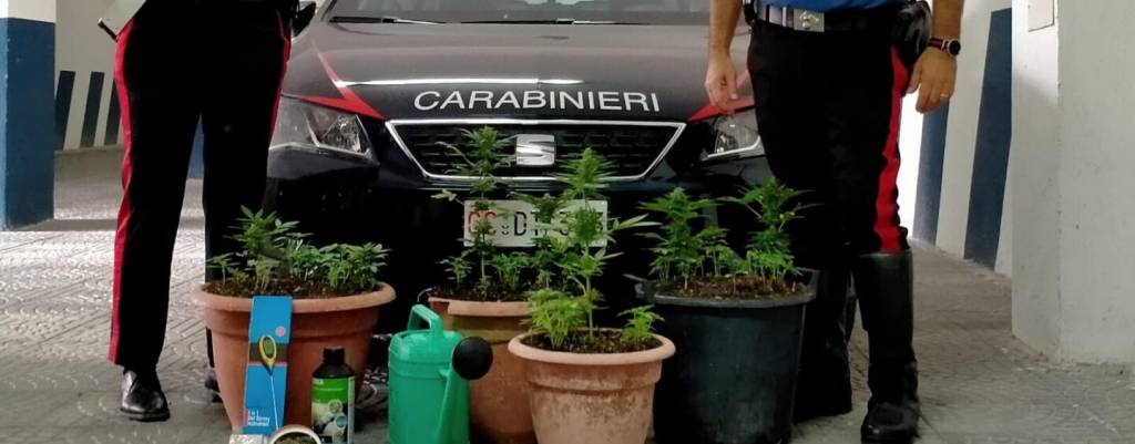 marijuana in casa