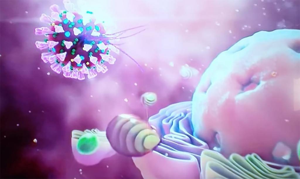 Covid, preoccupa la variante rara scoperta a Varese