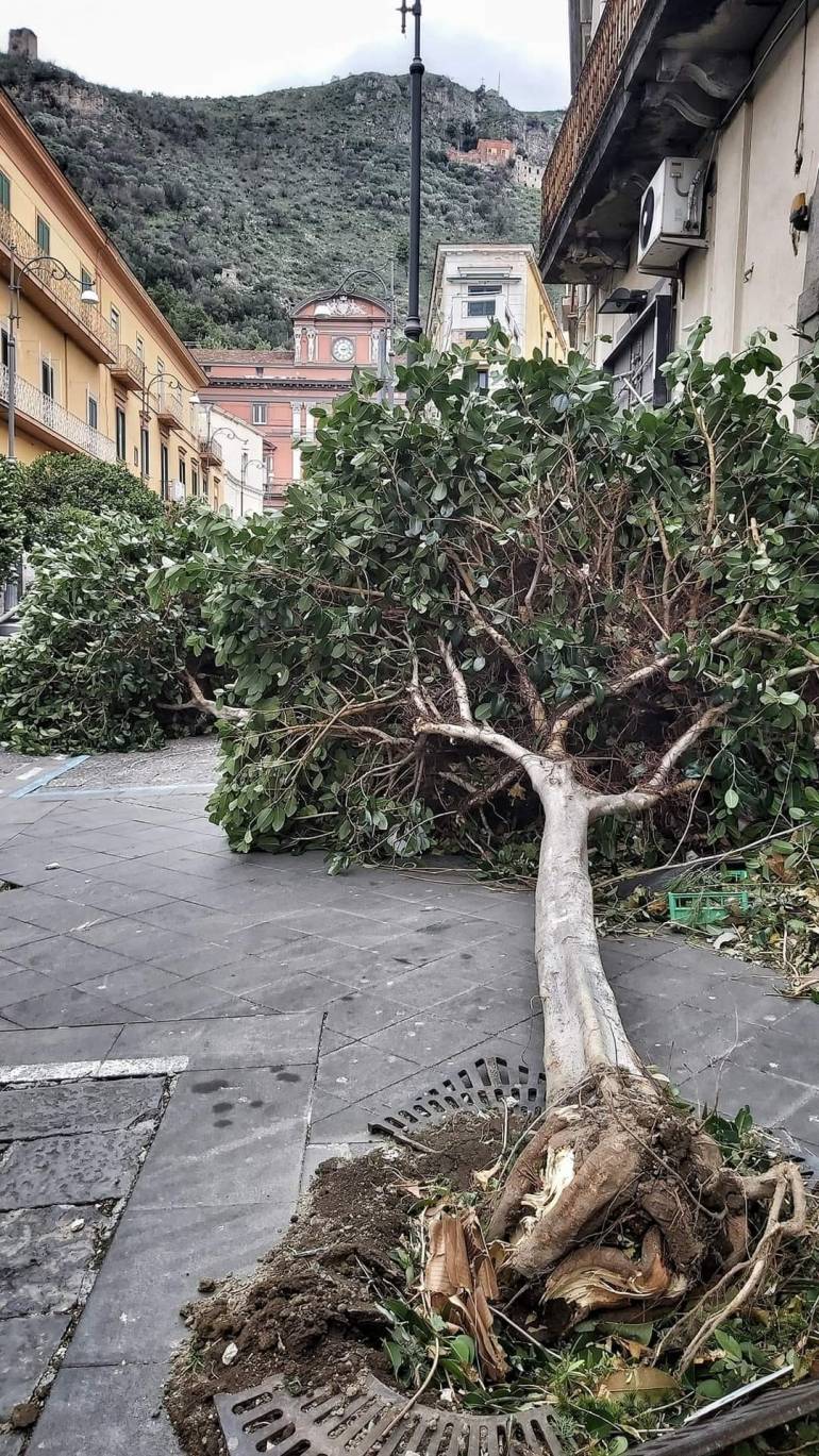 Maltempo: bufere di vento nel Salernitano, danni a Sarno
