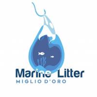 marine litter