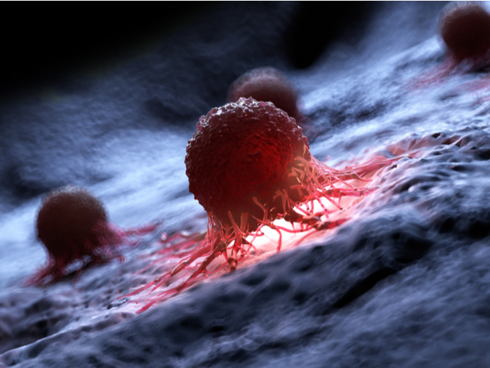 CEINGE e Federico II: Virus Herpes Simplex per farmaci biologici contro il cancro
