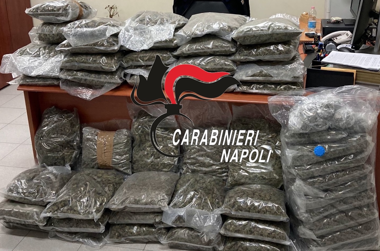 Colpo ai narcos di Giugliano e Caserta: sequestrati 58 chilogrammi di marijuana