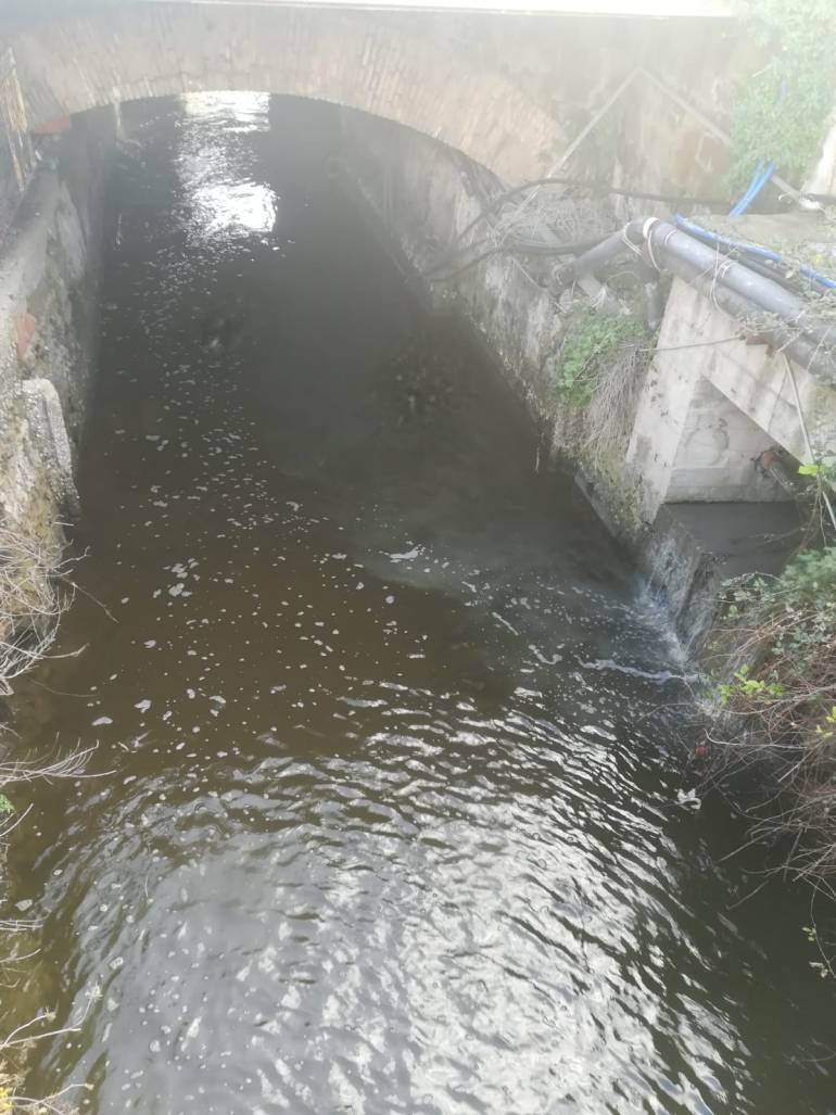 Lago Lucrino pieno di liquami: mobilitazione di Europa Verde Pozzuoli