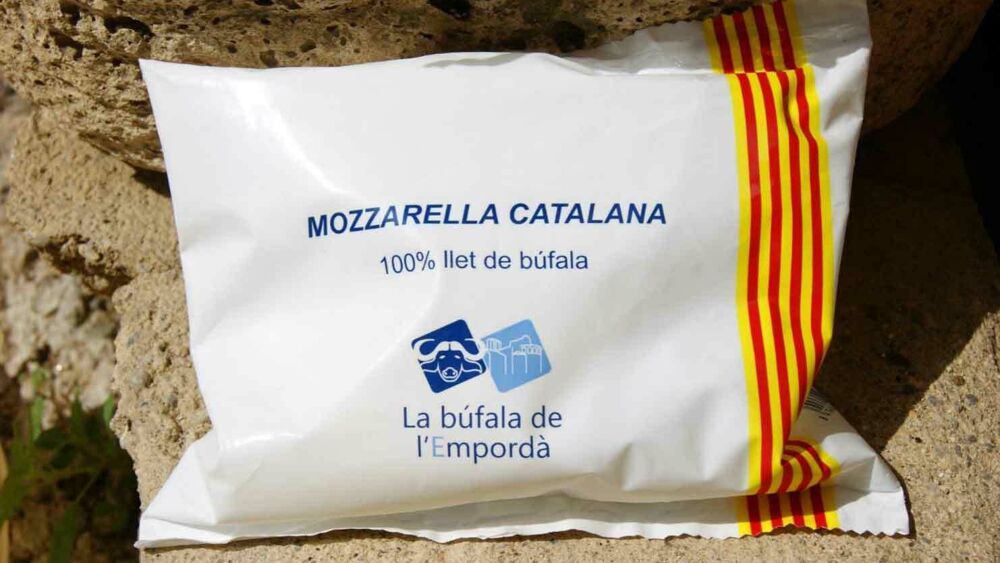 Falsa mozzarella bufala dop, denunciato caseificio spagnolo