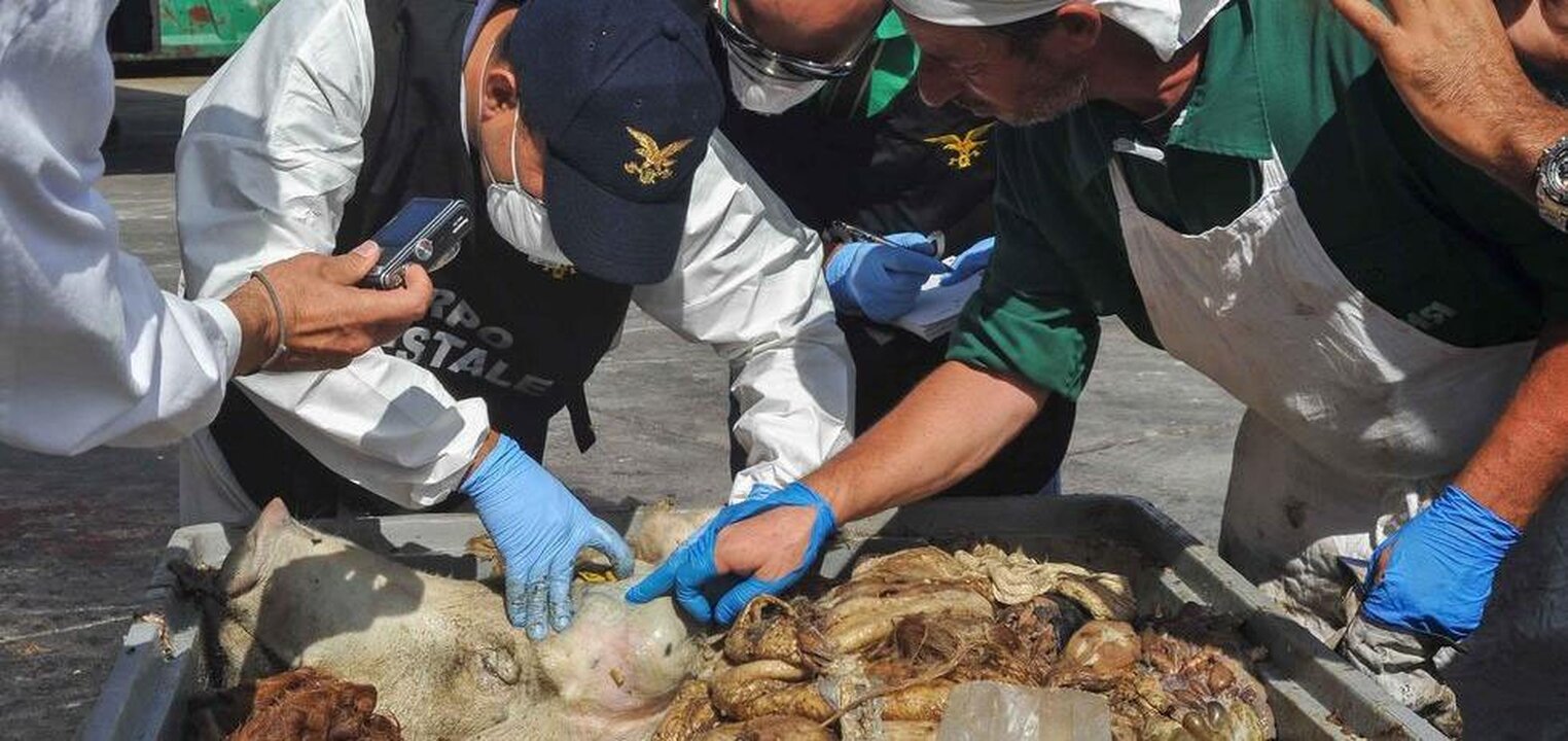 Traffico di rifiuti da macellazione: 7 arresti in tutta Italia, due anche a Caivano