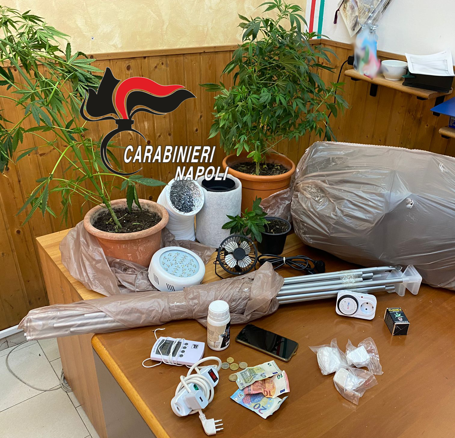 Cocaina e una serra con piante di marijuana in casa: arrestato giovane di Qualiano