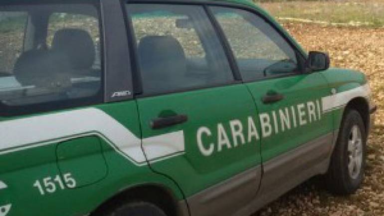 Mariglianella, carabinieri forestali sequestrano officina abusiva