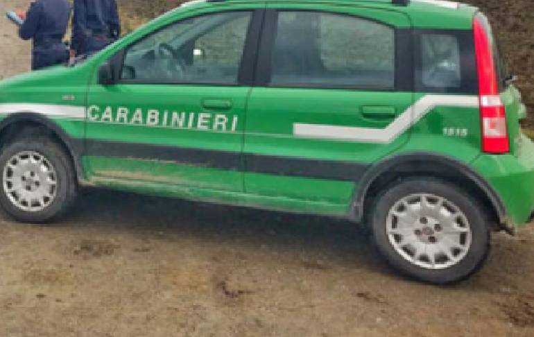 Quattro denunciati a Carinaro per violazioni ambientali