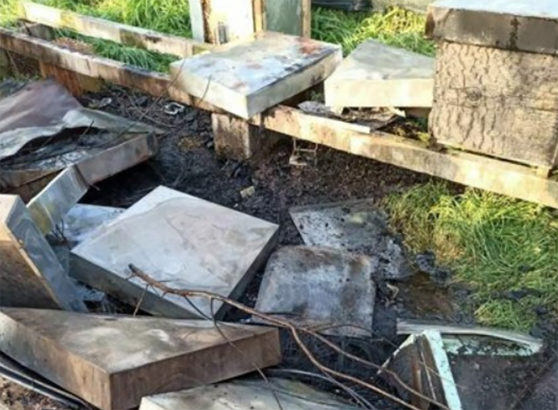 Incendio doloso in un allevamento di api nel casertano: morti 700mila esemplari