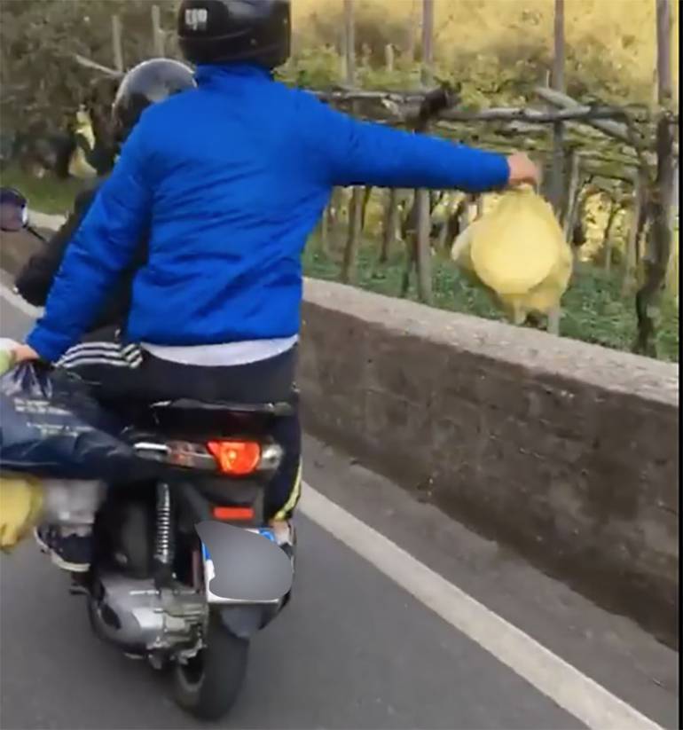 Lettere, lanciano immondizia dallo scooter e postano il video su Tik Tok: denunciati due 19enni di Casola