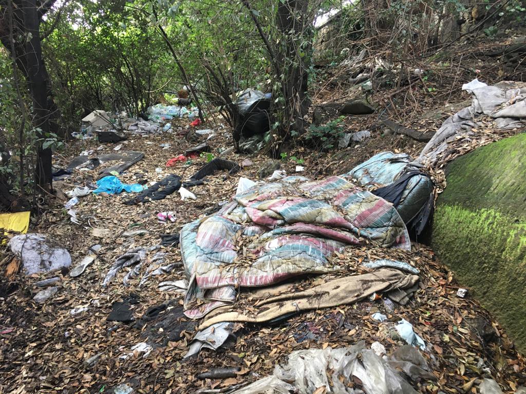 Raccolta di rifiuti al Tondo di Capodimonte di Napoli