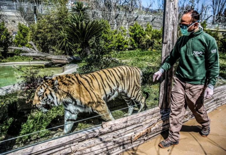A Napoli lezione allo zoo contro la Didattica a distanza