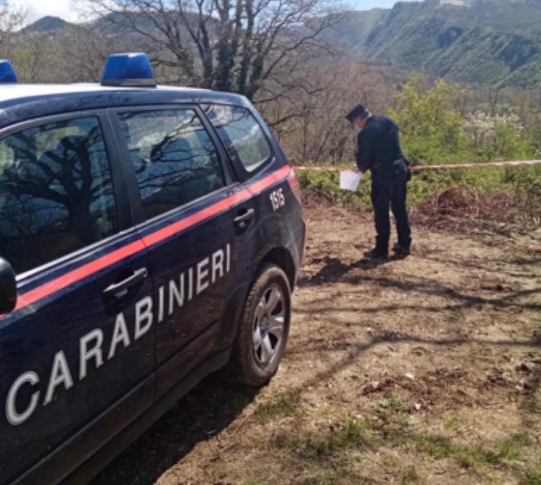Alberti tagliati senza autorizzazione: area sequestrata nel Salernitano