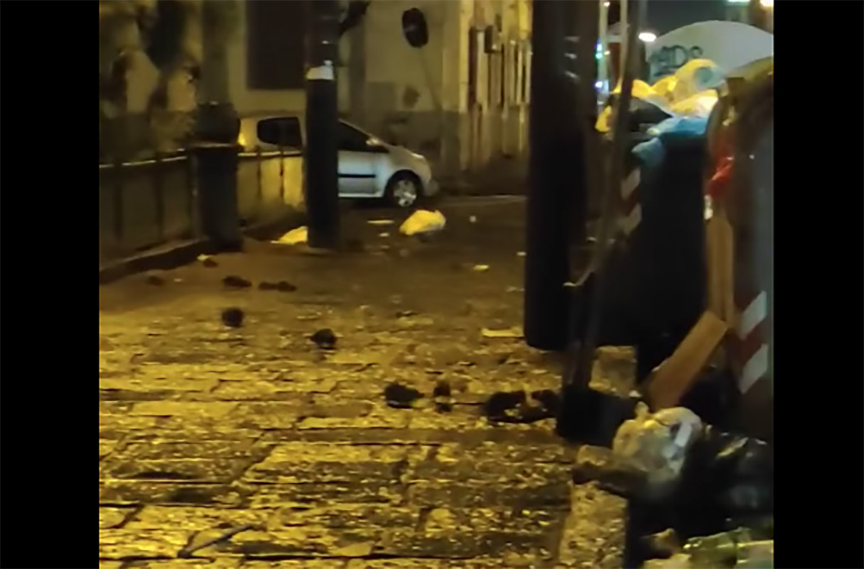 Napoli, piazza Pepe invasa da immondizia e topi