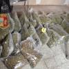 droga-rionebsiognano
