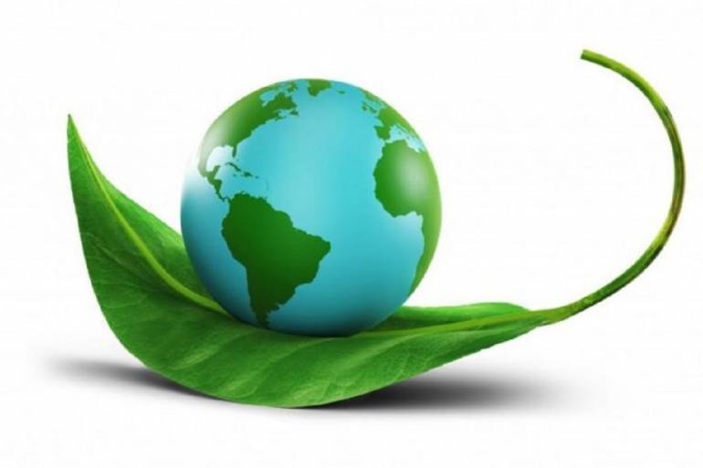 Giugliano nella rete internazionale delle scuole per l’Ambiente. Primo evento del Tree Planting Week