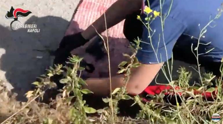 Blitz a Pianura: i carabinieri trovano armi e droga. IL VIDEO